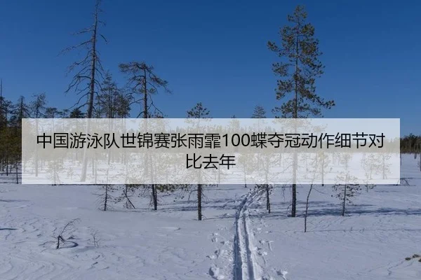 zhong-guo-you-yong-dui-shi-jin-sai-zhang-yu-fei-die-duo-guan-dong-zuo-xi-jie-dui-bi-qu-nian-2-640.jpg